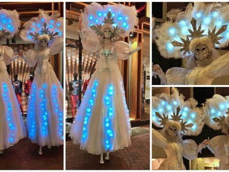 Betover uw event met Frozen By Night Steltenlopers! Winterse magie, LED-verlichting, geschikt voor kerst, feestdagen, en diverse thema's.