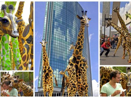 Laat je Publiek Verwonderen: Giraffen Steltenlopers, een Natuurlijke Pracht op Stelten!