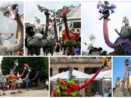 Ervaar de majestueuze parade van Struisvogels Steltenlopers en breng een kleurrijk en vriendelijk element naar uw evenement!