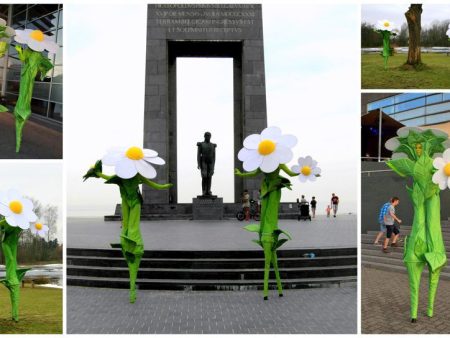 Natuurlijke Madeliefjes Steltenlopers: Betoverend bloemrijk spektakel voor elk evenement. Boek nu en laat uw locatie stralen als een veld vol bloemen!